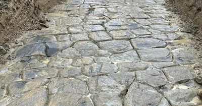 Hidden 'Roman road' discovered in field by workmen