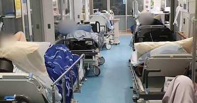 Record number of people on trolleys in hospital as Irish nurses call for Government to act