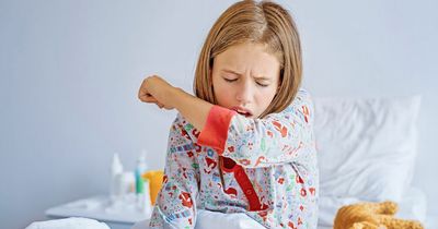 Irish expert warns virus that affects kids 'back with a bang' and signs to look for