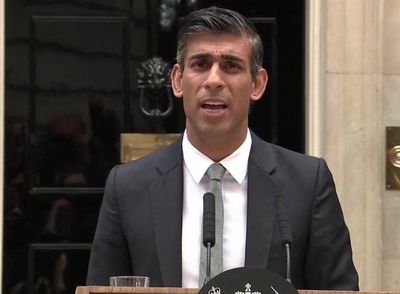 New UK PM Rishi Sunak Vows To Earn Trust Of Britons In His 1st Speech At Downing Street