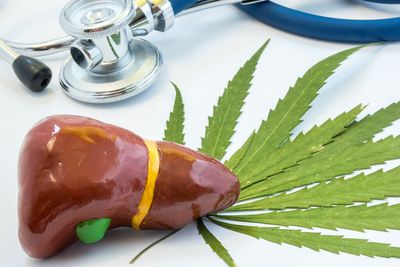 Pot users being denied liver transplants