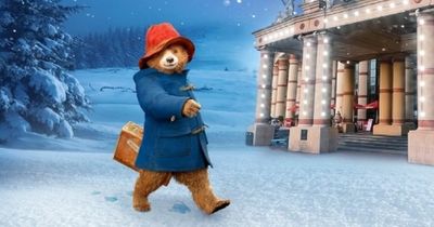 Trafford Centre announce Christmas with Paddington Bear Grotto new for 2022