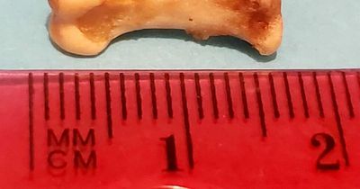 Vet nurse found 'finger bone' in crisp packet after eating the contents