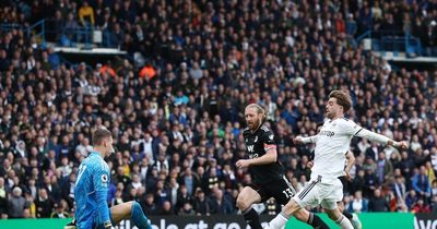 Leeds United fans' ratings from Fulham defeat as attacking duo dubbed worst performers