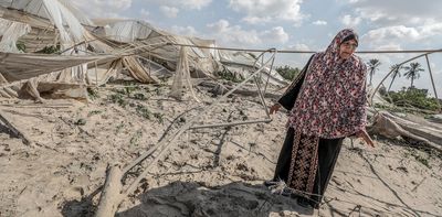 Gaza's food system has been stretched to breaking point by Israel