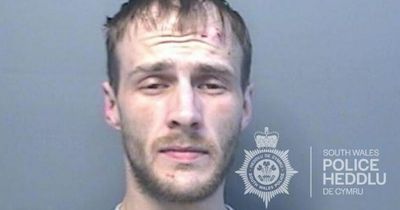 Cyclist paralysed from waist down after being deliberately run over by driver