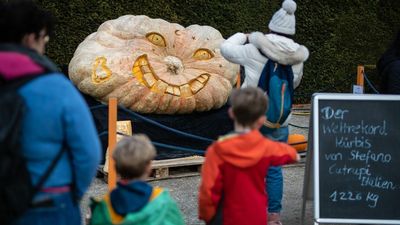 Professional Pumpkin Carver Shares Why You SHOULDN’T Light A Tealight Inside