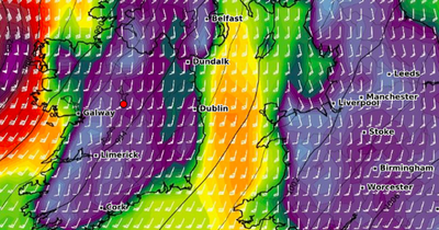 Met Eireann updates weather warning for several areas as brutal 'gale force' winds arrive