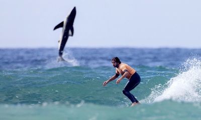 ‘Sharknado’ moment commands spotlight at surfing contest