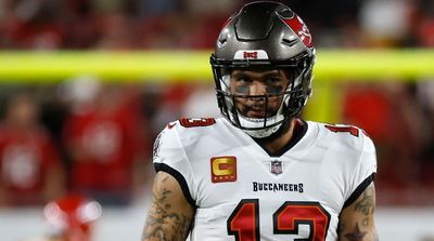 NFL Announces Decision on Mike Evans, Referee Video