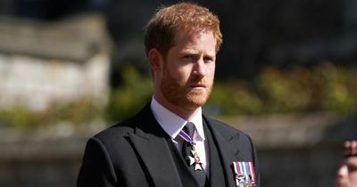 Prince Harry and Andrew's royal duties discussed in Parliament for the first time