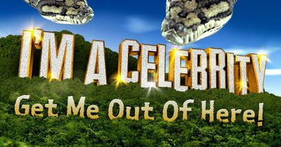 I'm A Celebrity 2022 - all the stars rumoured to enter the jungle next month