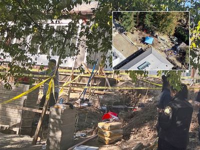 Murder, thieves, and a $15m mansion: California police dug up a buried car and found themselves in a mystery