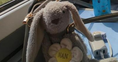 Six-year-old 'devastated' after losing sentimental cuddly toy on Skegness train