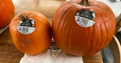 Morrisons accused of 'robbing shoppers' with 'bonkers' price of giant pumpkins