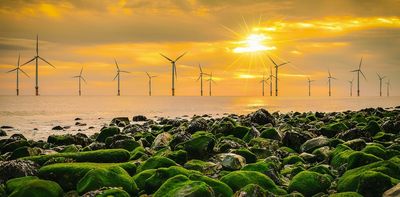 Australia is poised to be a world leader in offshore wind, but any potential risks to marine life remain poorly regulated