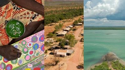 Middle Arm industrial precinct, remote homelands and Aboriginal art gallery funding confirmed for NT in federal budget