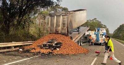 Truck carrying potatoes catches fire on M1 at Cooranbong