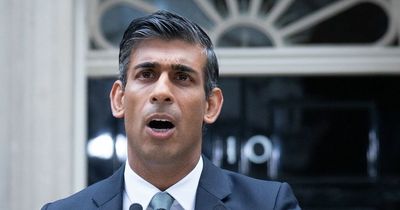 Rishi Sunak's speech unpicked - the real meanings behind all the rhetoric