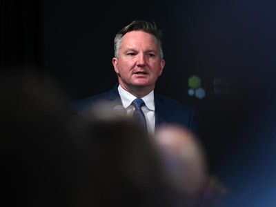 Carbon industry welcomes 'Bradbury budget'