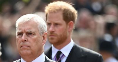 Prince Andrew's and Prince Harry's roles as deputy to King challenged in House of Lords