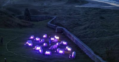 Northumberland art trail celebrating Lindisfarne Gospels' return made up of illuminated sheep