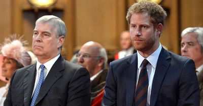 Princes Harry and Andrew may be sidelined from state affairs with new Palace proposal