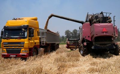 Zimbabwe's focus on wheat set to yield biggest-ever harvest