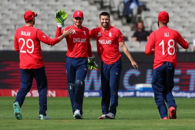 Mark Wood and Liam Livingstone lead England fightback against Ireland