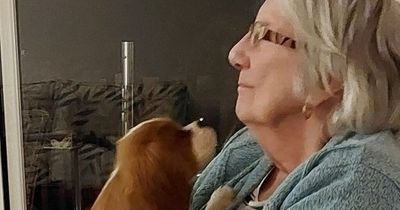 Great-grandmother, 86, waits nine hours for an ambulance after suffering a stroke