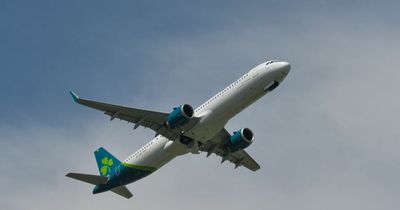 Aer Lingus suspends flights to popular UK destination over Brexit