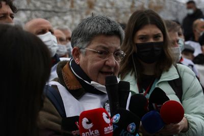 Turkish doctor detained for proposing chemical weapons probe