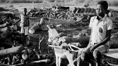 In black and white: the fears, hopes and dreams of Sudan's embattled Fur