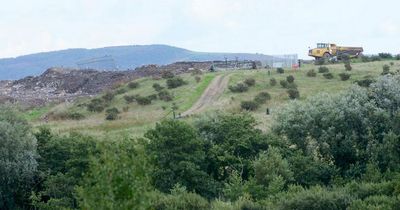 Thousands of solar panels set to be installed on land once home to a coal-fired power station