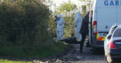 Gardaí treating discovery of man's body in Westmeath as 'suspicious' and have definite line of inquiry