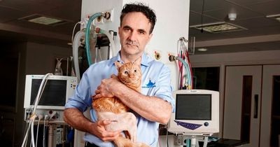 Supervet Noel Fitzpatrick opens up about 'prolonged sexual abuse' he suffered as a child