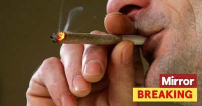 European country announces plan to legalise cannabis for recreational use