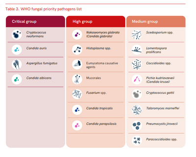 WHO publishes first ever list of fungal infections that pose ‘major threat’