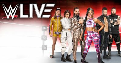 WWE Live returns to Belfast's SSE Arena next year