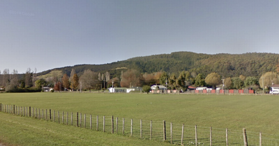Rugby player collapses and dies during match in New Zealand