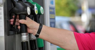 Why is diesel fuel still so expensive right now compared to petrol?