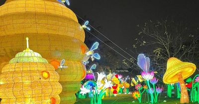 'I went to Wild Lights at Dublin Zoo - I was completely blown away'