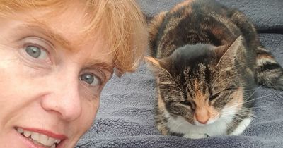 Tearful woman's 'weird' 4am premonition helps her find her lost cat in disused church