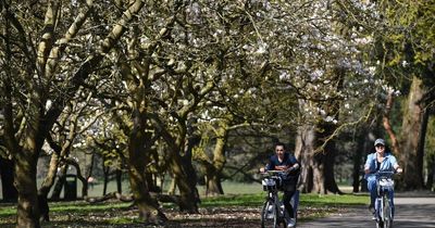 More than 20,000 new trees to be planted across Cardiff