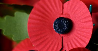 Poppy Appeal: What do white, red, black and purple poppies mean?