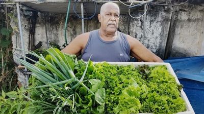 Brazil: The community garden offering seeds of hope to Rio's favela residents