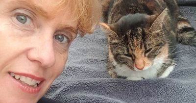 Woman finds missing cat hiding in abandoned church - after she saw it there in a DREAM