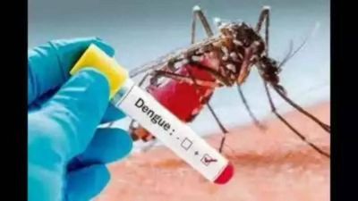 Many dengue patients in Delhi developing complications like liver dysfunction: Doctors