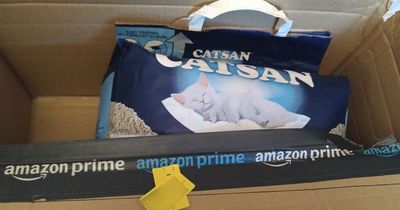 Gamer rages as he orders £450 Xbox from Amazon but 'receives cat litter instead'