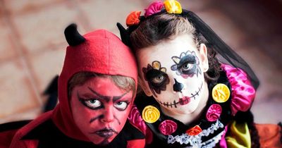 Expert advises how to get fake blood and glitter out of your carpet this Halloween